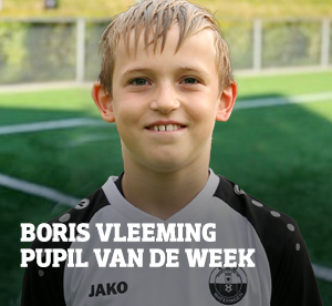 Pupil-van-de-W_Boris_Vleeminge